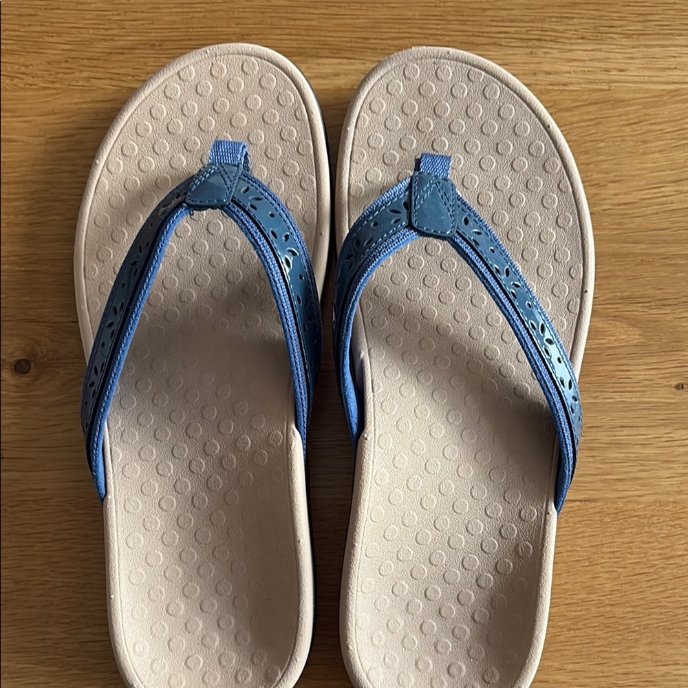 Blue and Beige Flip Flops